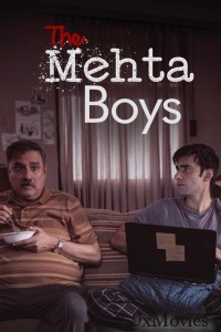 The Mehta Boys (2025) Hindi Movie